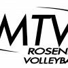 Volleyball_Logo